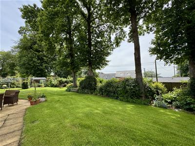Picture 25